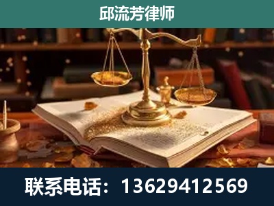 河池-刑事案件