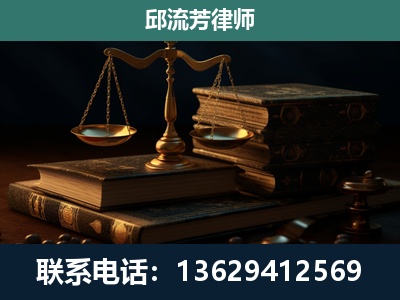 河池-刑事案件